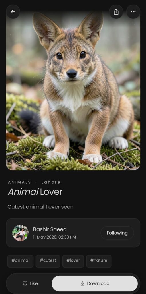 Pictures app app screenshot