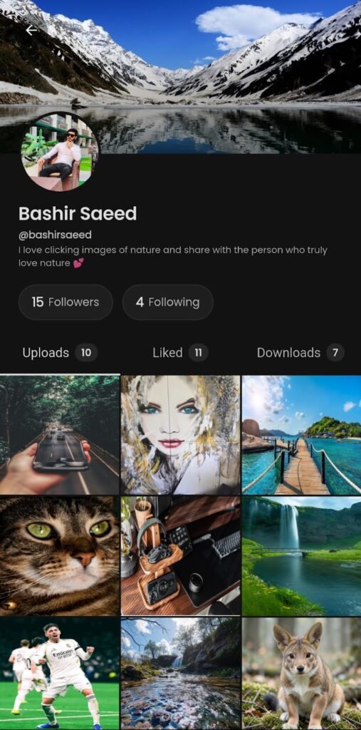 Pictures app app screenshot